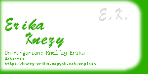 erika knezy business card